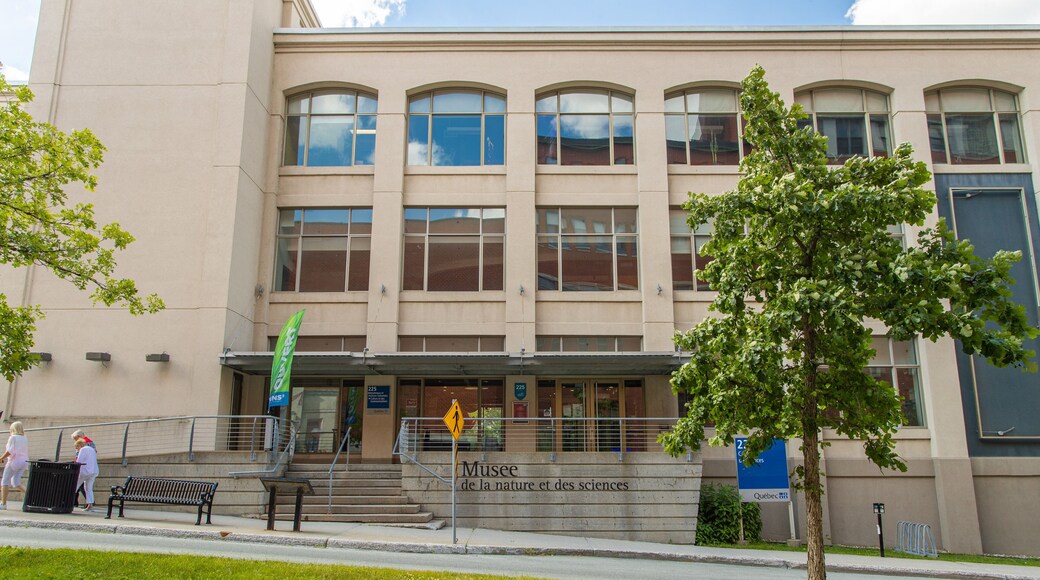 Musee de la Nature et des Sciences