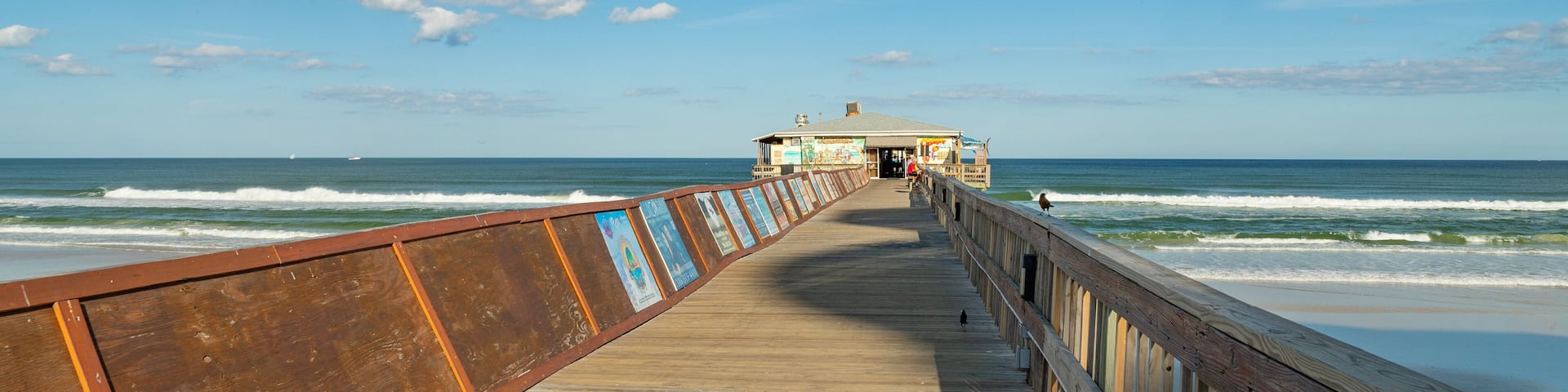 Sunglow Pier showing general coastal views