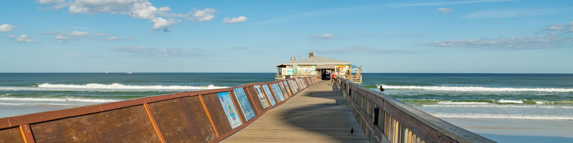 Sunglow Pier showing general coastal views