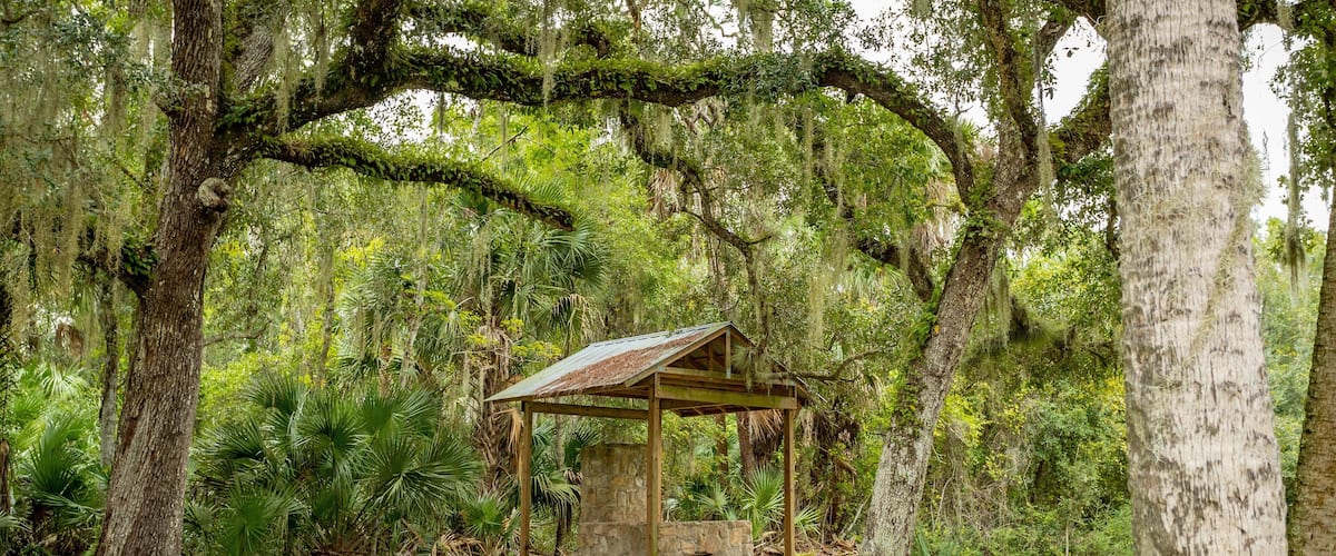 A gazebo in a lush, green forest with moss-covered trees and a stone base.