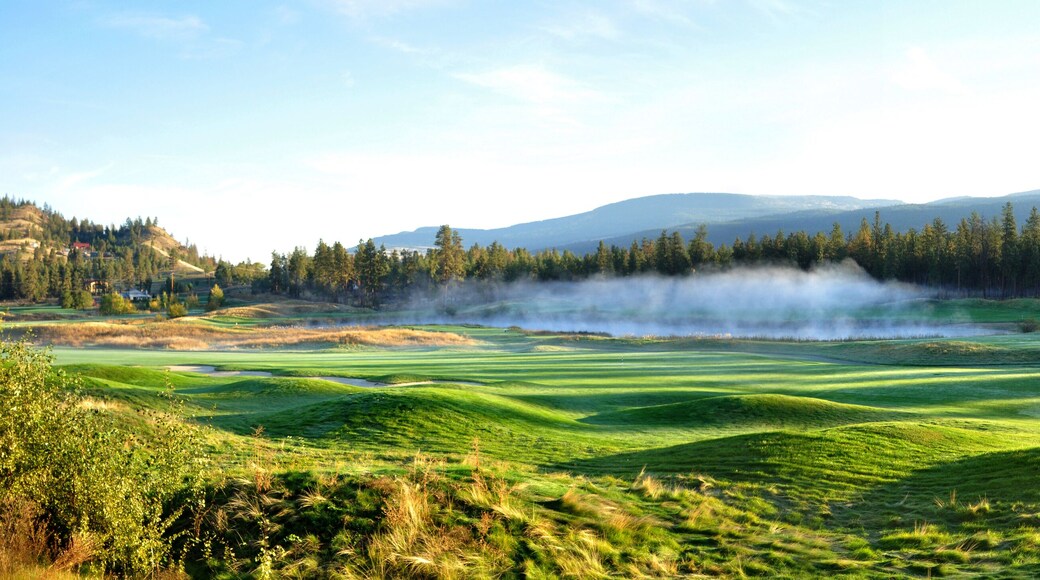 Parcours de golf Meadow Lake
