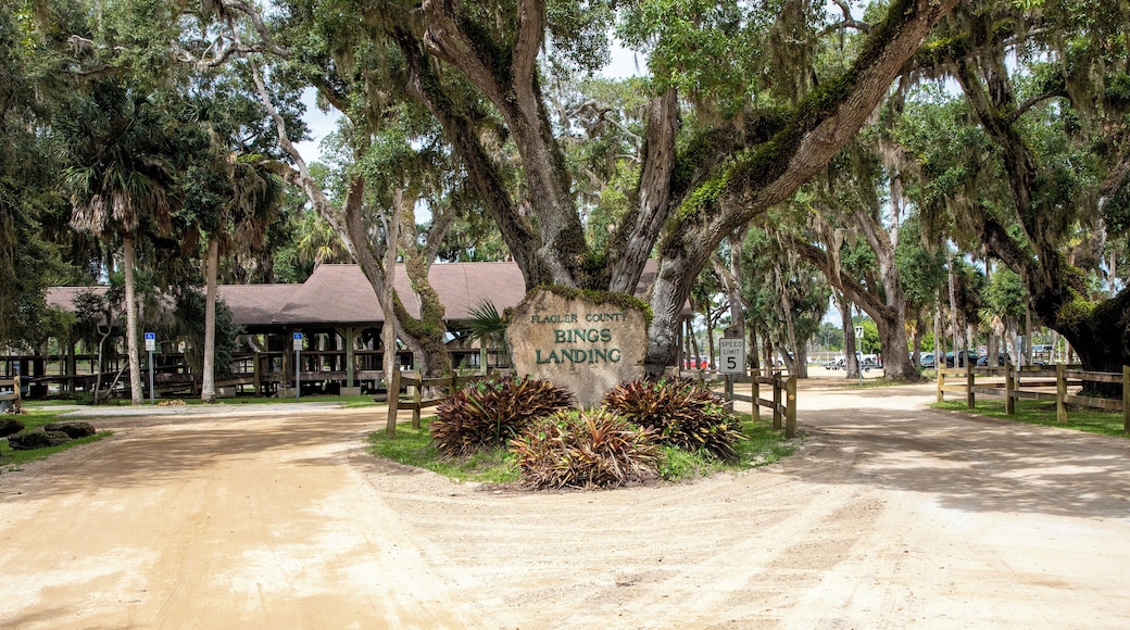 Palm Coast_BingsLanding_6297985_01