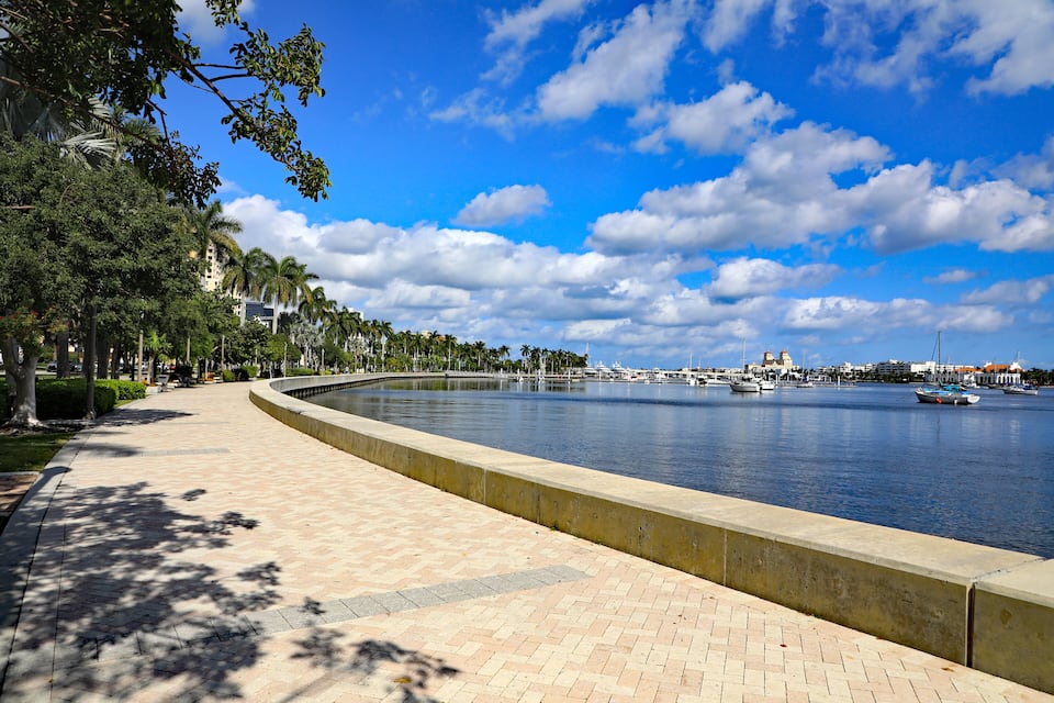 A waterfront promenade with a curved walkway, palm trees, and a marina with boats.