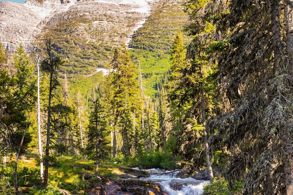 A waterfall along the Saint Mary River at Glacier National Park in Montana during a summer day with clear skies.