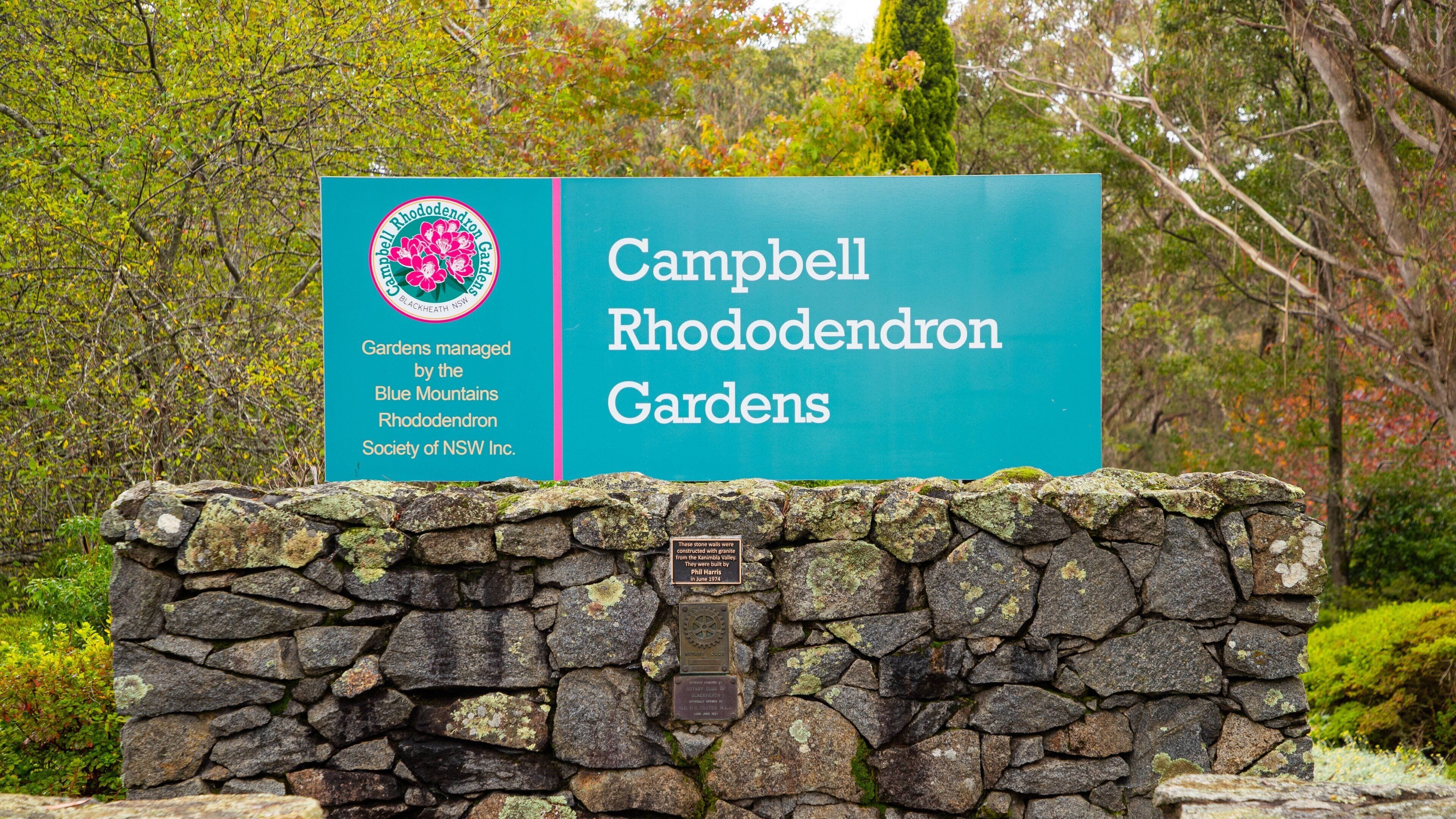 Campbell Rhododendron Gardens Tours - Book Now | Expedia