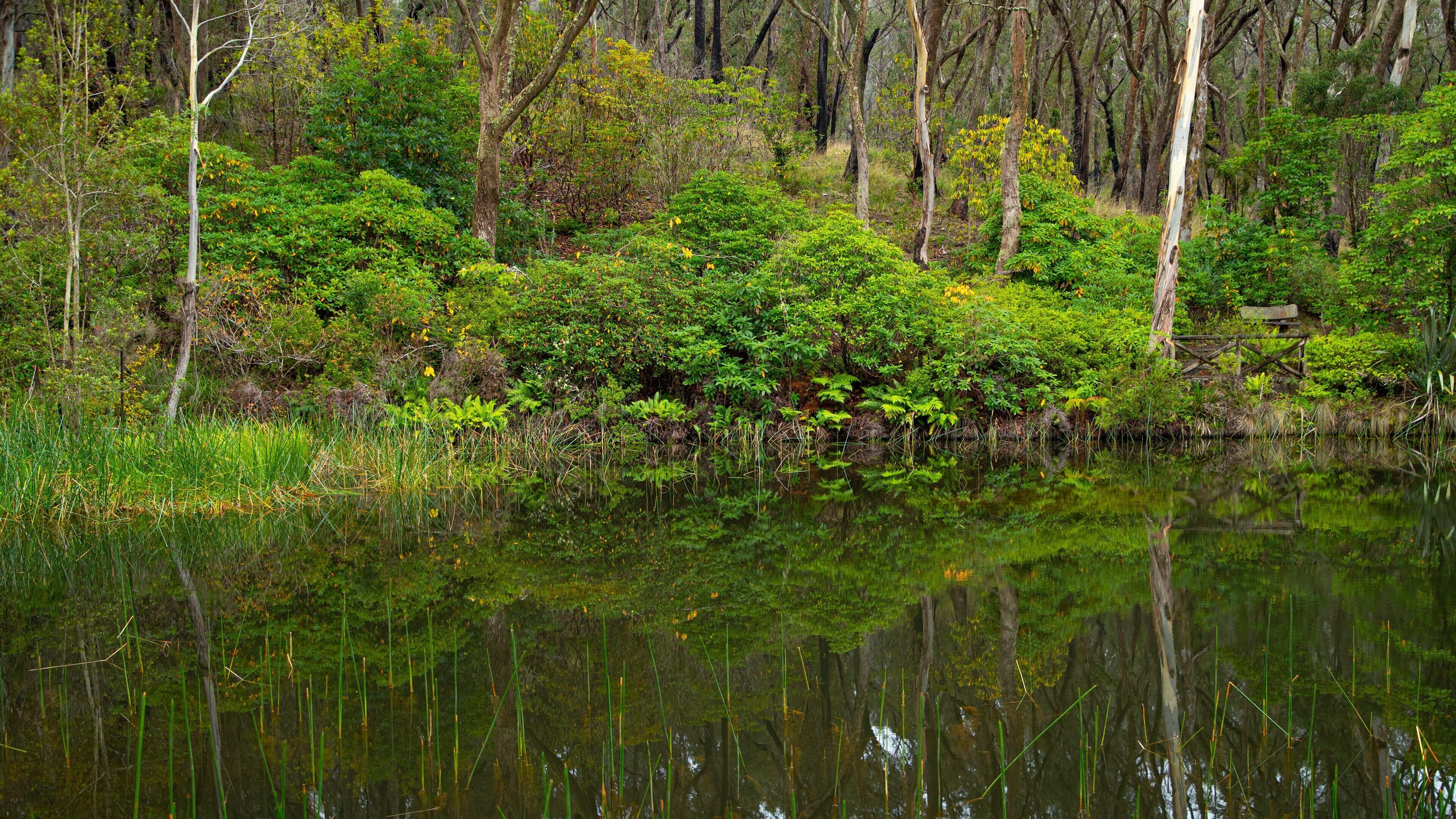 Campbell Rhododendron Gardens which includes a river or creek and forests