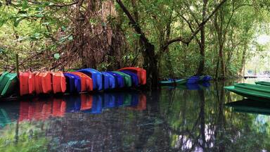 A row of colorful canoes lined up along a calm river surrounded by dense greenery.
