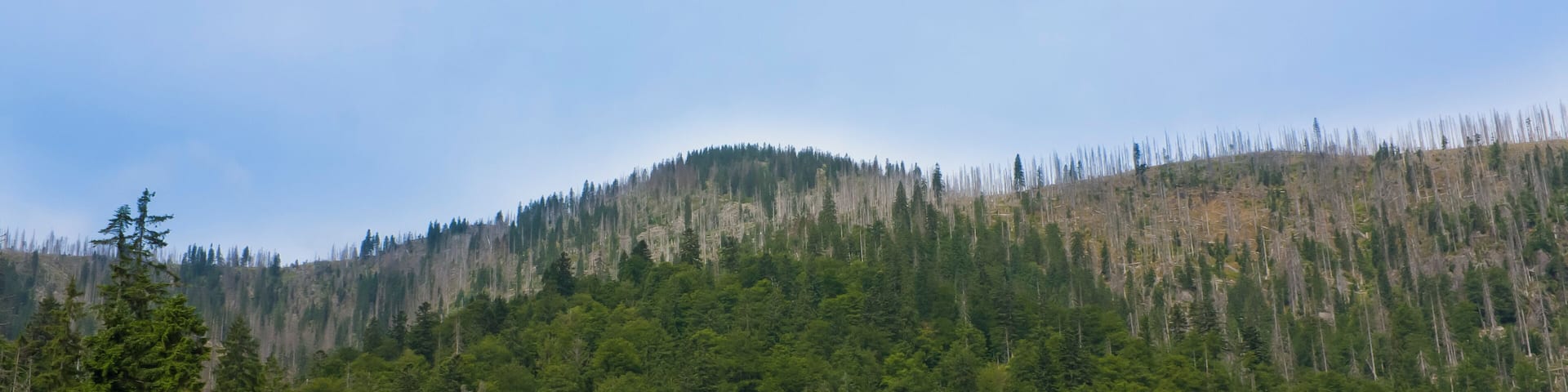 Lake Rachel, Rachel, Bavarian Forest Nationalpark