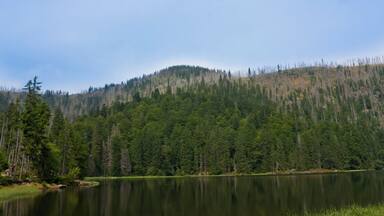 Lake Rachel, Rachel, Bavarian Forest Nationalpark
