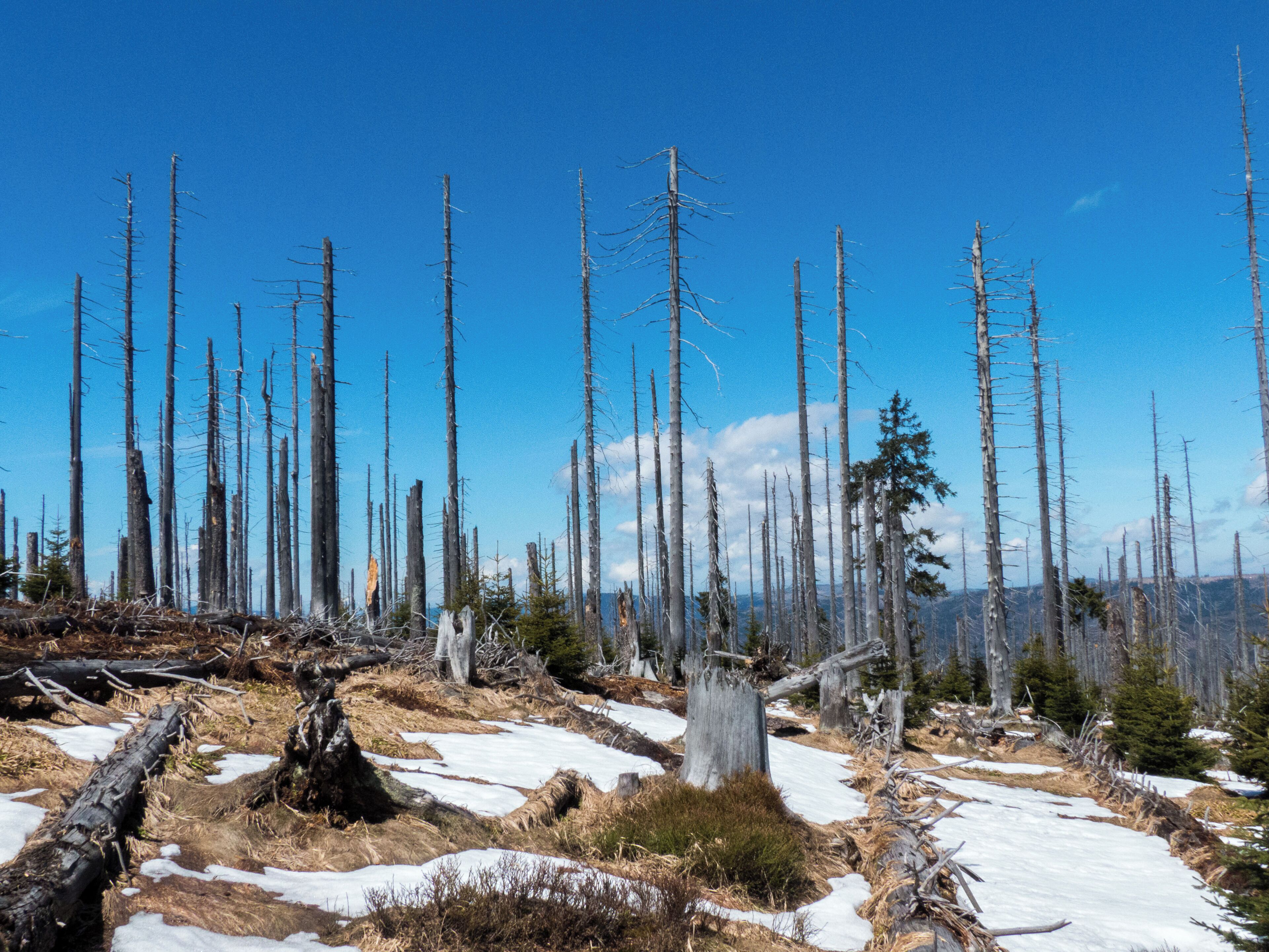 de.wikipedia.org/wiki/Gro%C3%9Fer_Rachel Unser "Basislager" für die Touren um Spiegelau im Mai 2017: www.jaegerfleck.de Meine Bewertung für diese Unterkunft: Zu gut, zu sauber, zu freundlich, zu lecker, zu ruhig, zu preiswert für diese Welt (allein das Wetter hätte etwas besser sein können!).