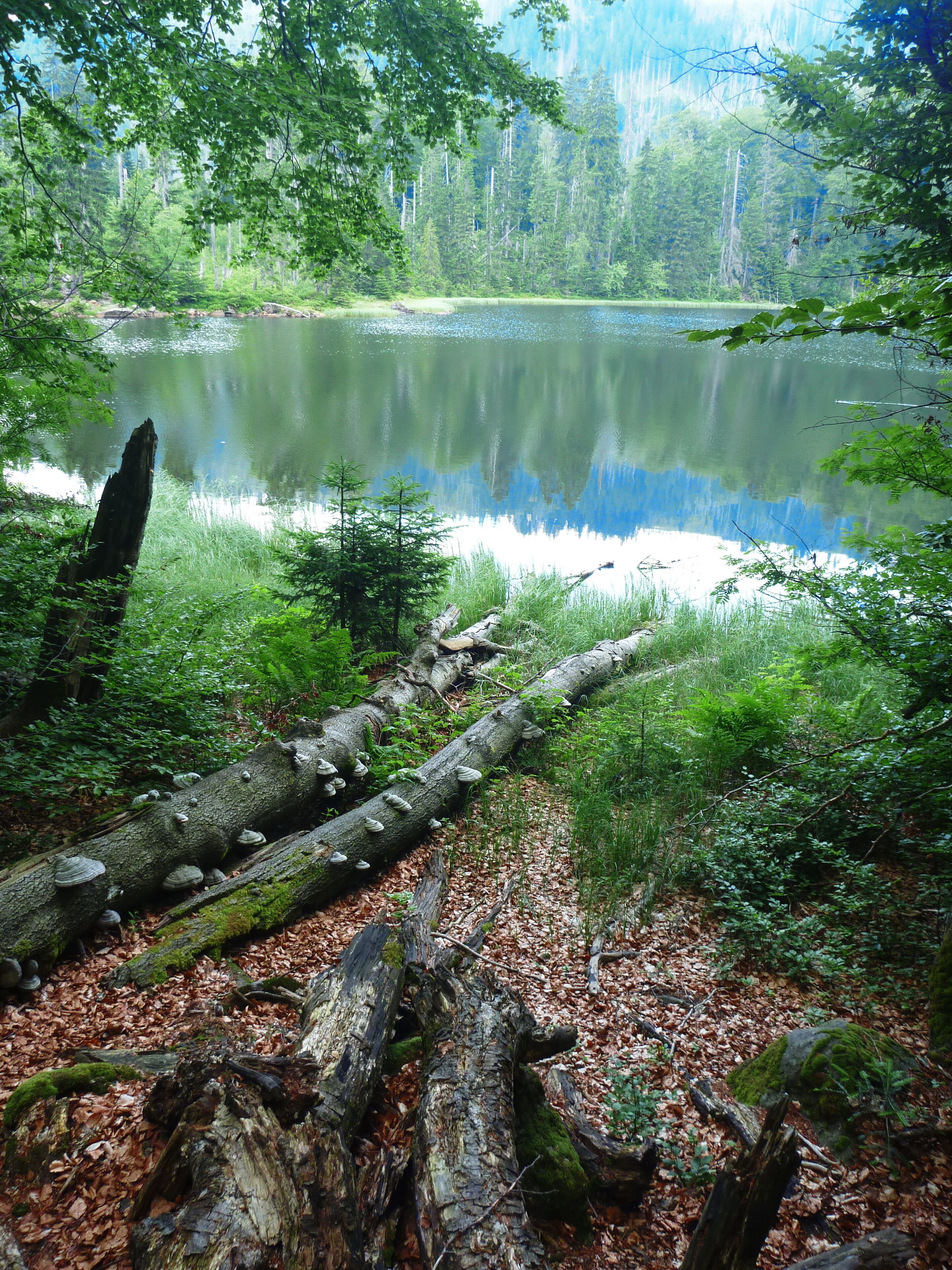 Blick zum Rachelsee Verbannungsort der Hexe Wecklin