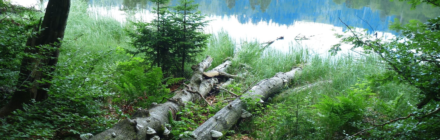 Blick zum Rachelsee Verbannungsort der Hexe Wecklin