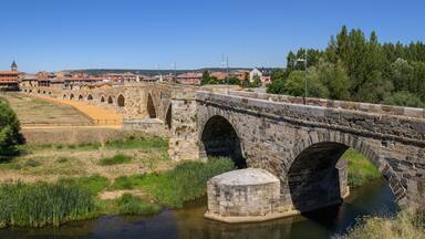 A stone bridge over a river, surrounded by greenery and a town in the background.