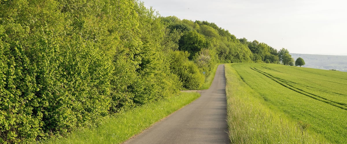 Naturschutzgebiet Biotopkomplex am Mühlenturm, Barntrup, Kreis Lippe