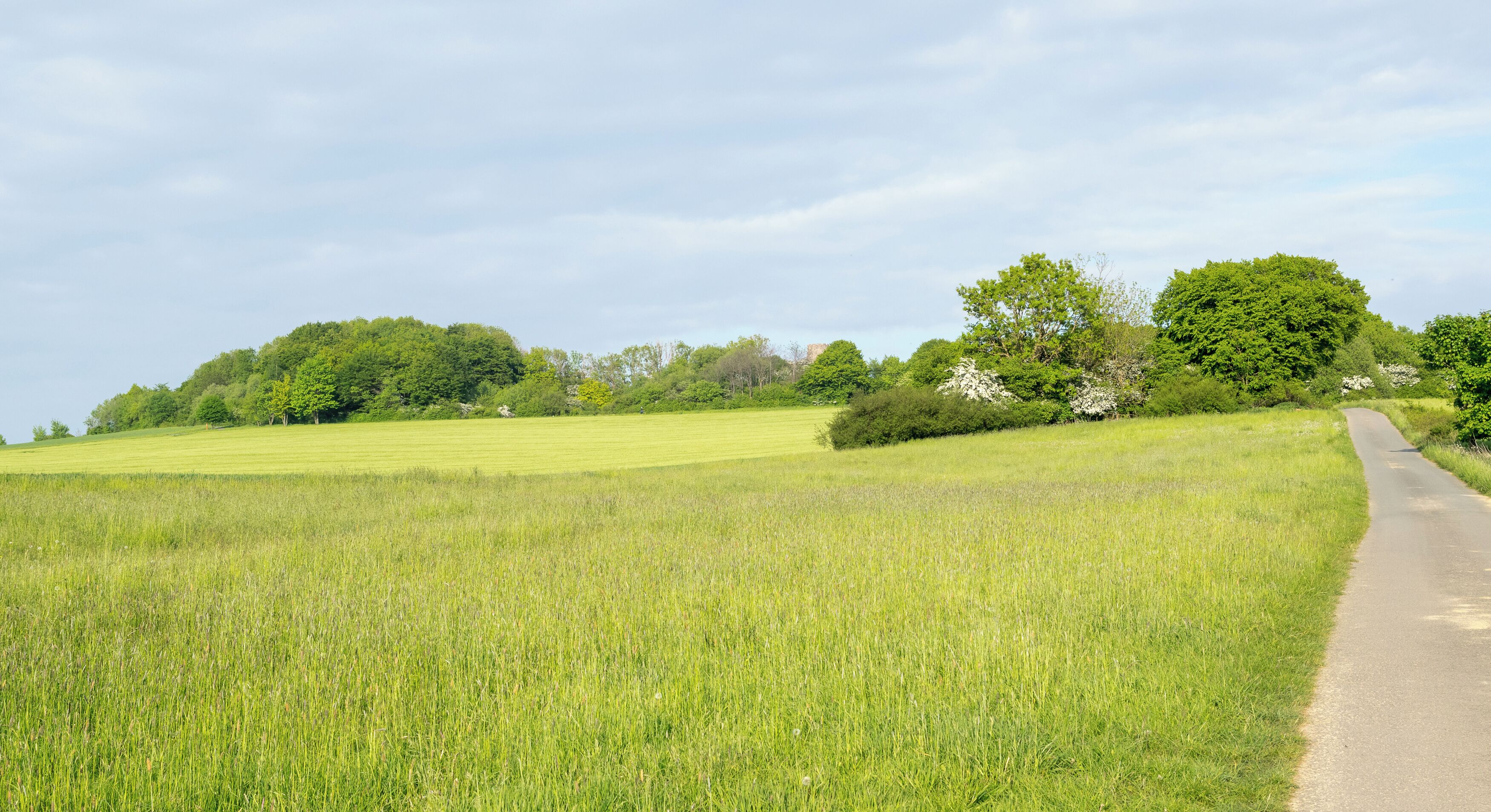 Naturschutzgebiet Biotopkomplex am Mühlenturm, Barntrup, Kreis Lippe