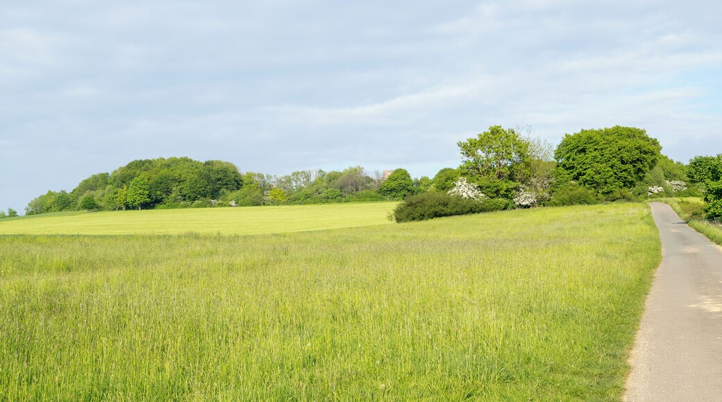 Naturschutzgebiet Biotopkomplex am Mühlenturm, Barntrup, Kreis Lippe