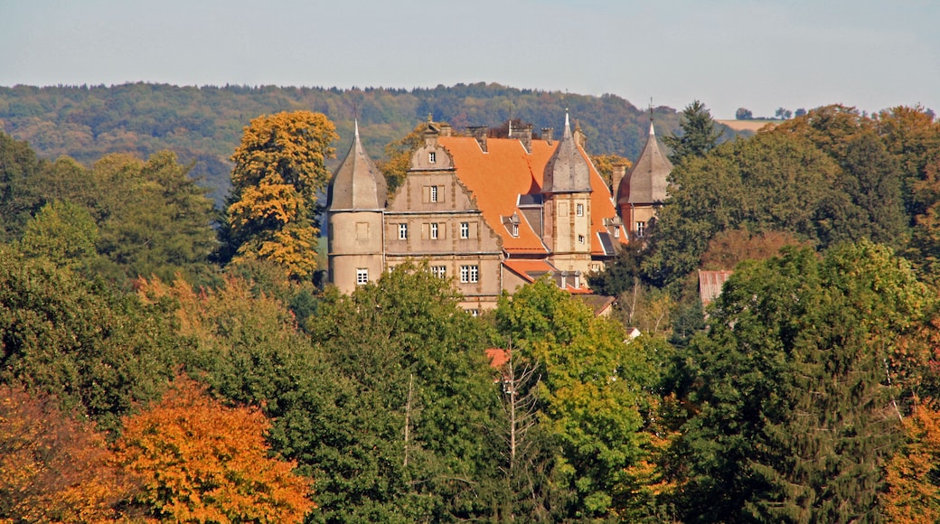 Ein historisches Gebäude mit mehreren Türmen, umgeben von dichtem Wald und Herbstlaub.