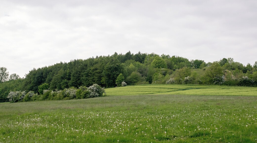 Naturschutzgebiet Hecken- und Grünlandkomplex auf der Sonnenborner Hochfläche und dem Knappberg, Barntrup, Kreis Lippe