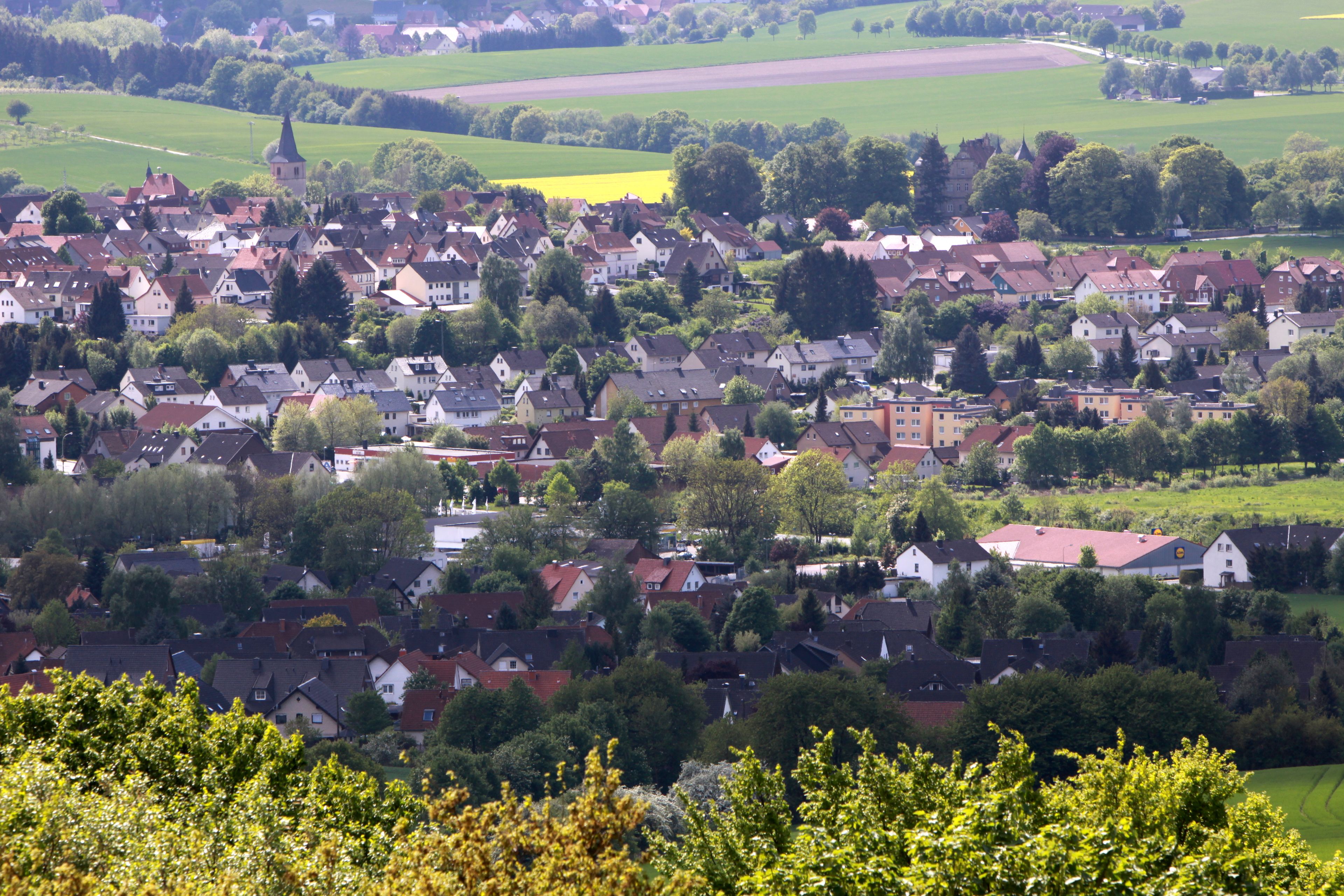 Ein dicht besiedeltes Dorf mit roten Dächern, umgeben von grünen Feldern und Bäumen.