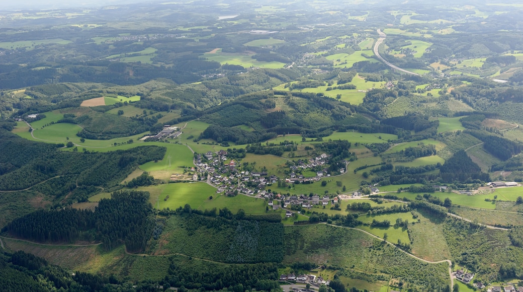 The making of this document was supported by the Community-Budget of Wikimedia Germany. To see other files made with the support of Wikimedia Germany, please see the category Supported by Wikimedia Deutschland.