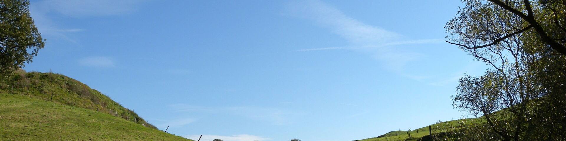 Weideflächen am Hof Böckel im Landschaftsschutzgebiet „Breckerfeld“ in der Nähe der Ennepetalsperre