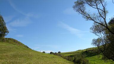 Weideflächen am Hof Böckel im Landschaftsschutzgebiet „Breckerfeld“ in der Nähe der Ennepetalsperre