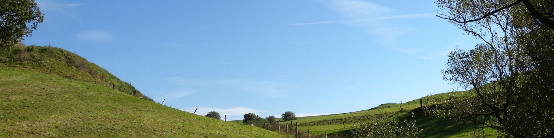Weideflächen am Hof Böckel im Landschaftsschutzgebiet „Breckerfeld“ in der Nähe der Ennepetalsperre