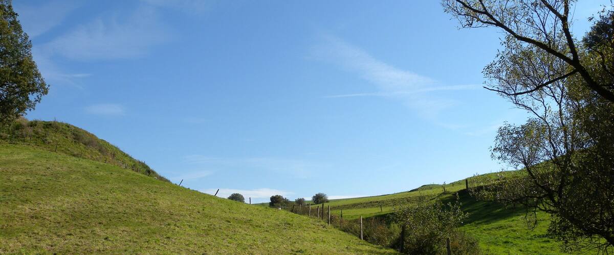 A grassy hillside with a fence and trees.