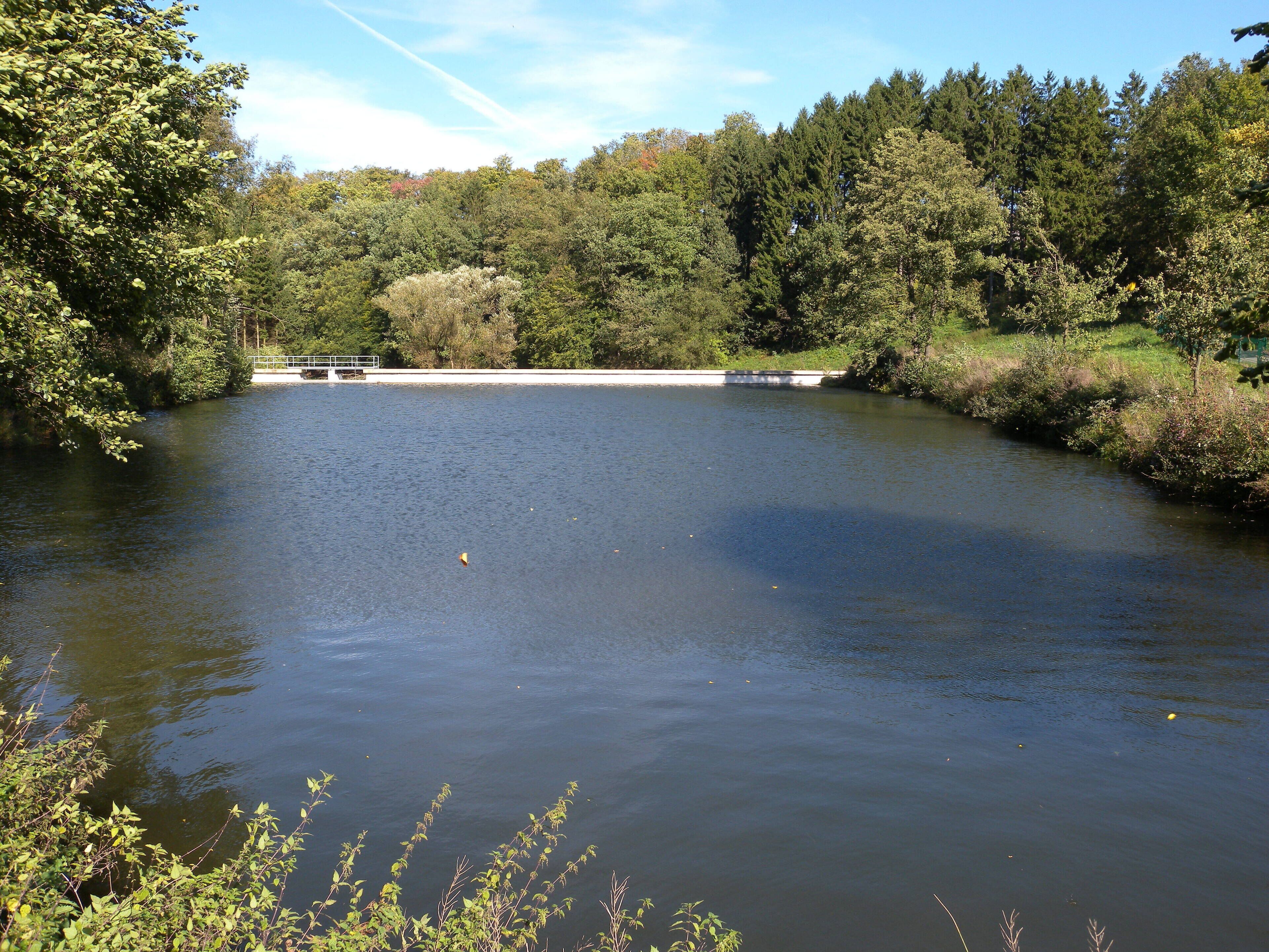 Borbach-Vorsperre der Ennepetalsperre bei Böckel in Breckerfeld