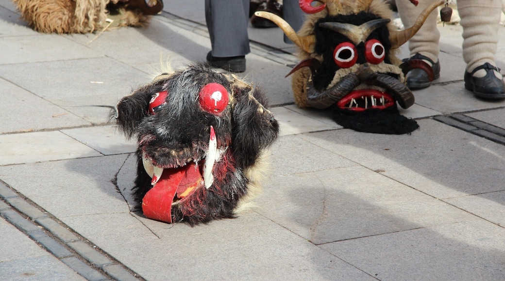 The annual Surva Festival of Masquerade Games or Kukeri festival in Pernik, Bulgaria. The participants wear masks with the faces of beasts and birds; and heavy copper bells around their waists and perform rituals to dispel the evil spirits which might otherwise bring ill fortune to a community. #Festival