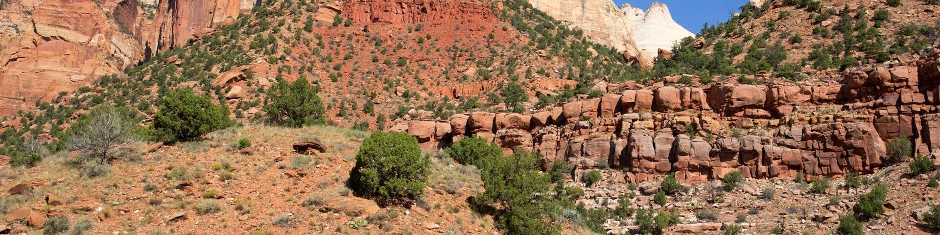 Zion Human History Museum which includes landscape views, mountains and tranquil scenes