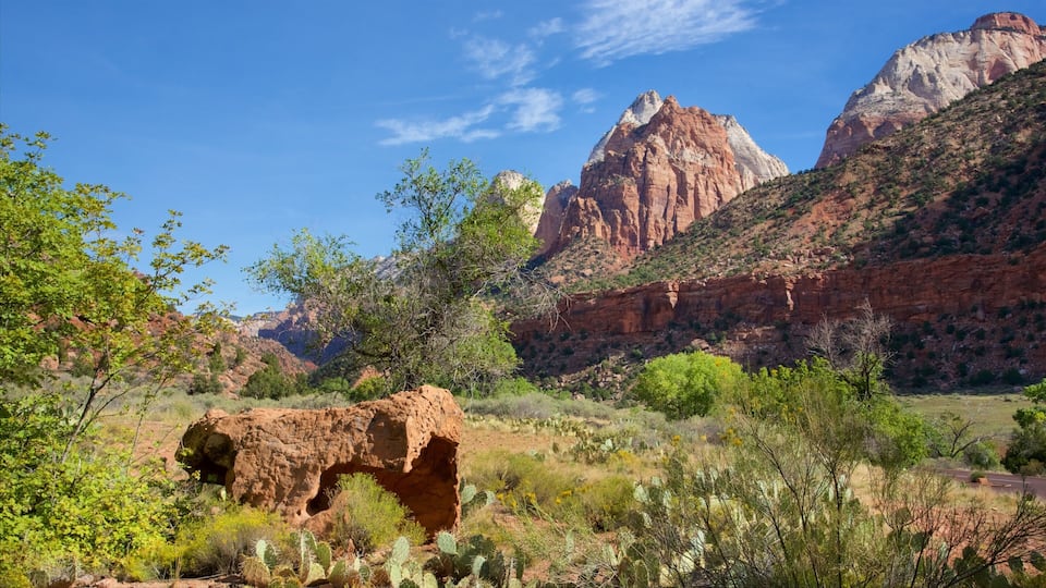 A desert landscape with a prominent rock formation, sparse vegetation, and a clear blue sky.