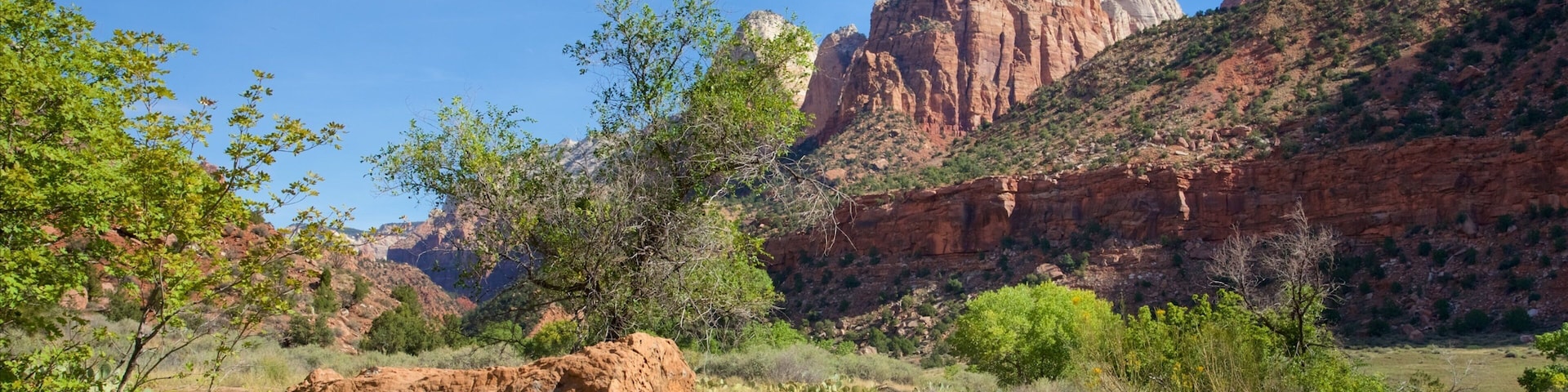 Paisaje desértico con una formación rocosa destacada, vegetación escasa y un cielo azul despejado.