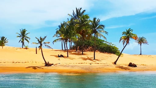 São Francisco river where it meets the sea
Alagoas/Brazil