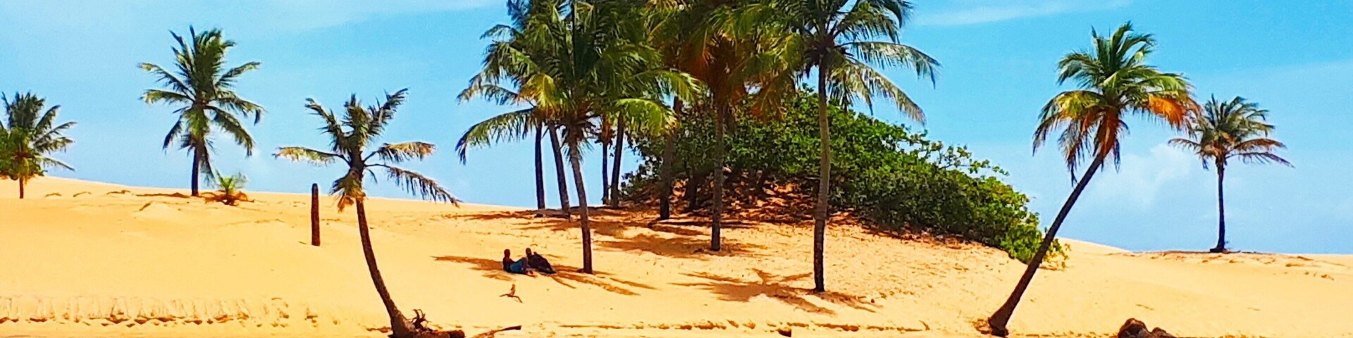 São Francisco river where it meets the sea 
Alagoas/Brazil