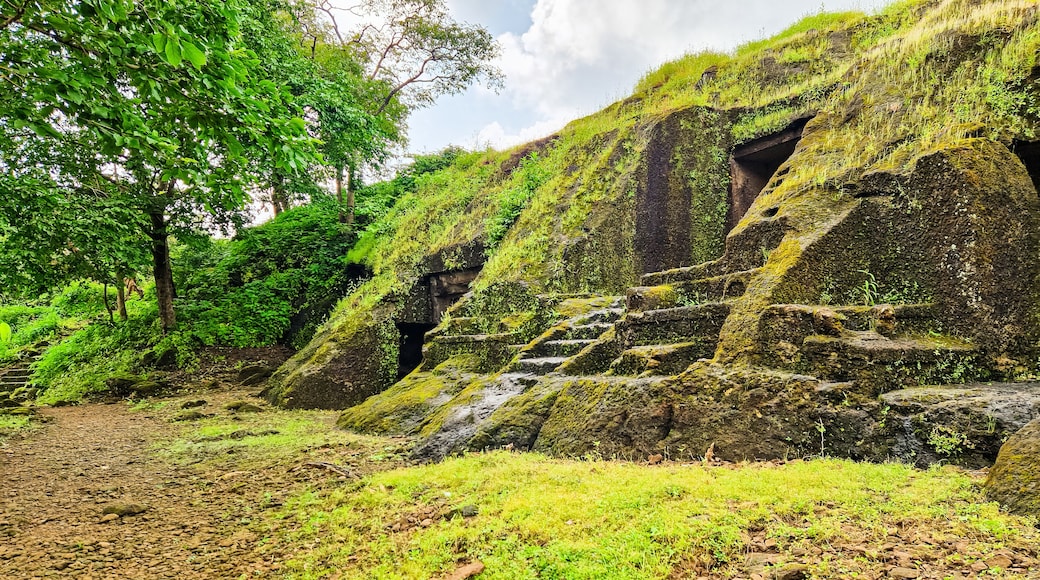 Kanheri Caves in the forests of the Sanjay Gandhi National Park, India
