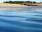 Une plage avec du sable humide et une forêt en arrière-plan.
