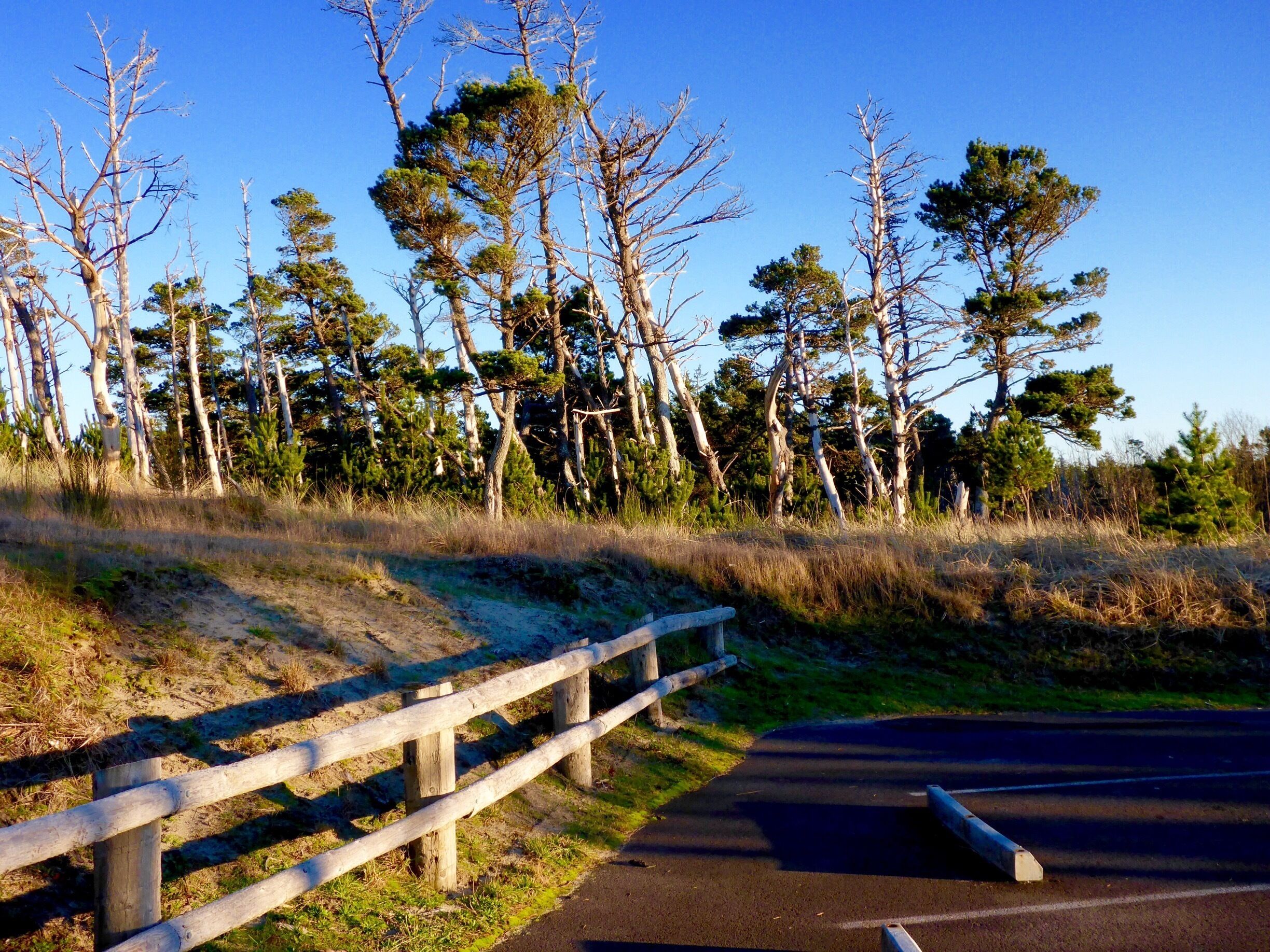 The last thing you see in the parking lot before you head home.

#beach