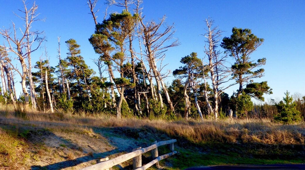 The last thing you see in the parking lot before you head home.
#beach