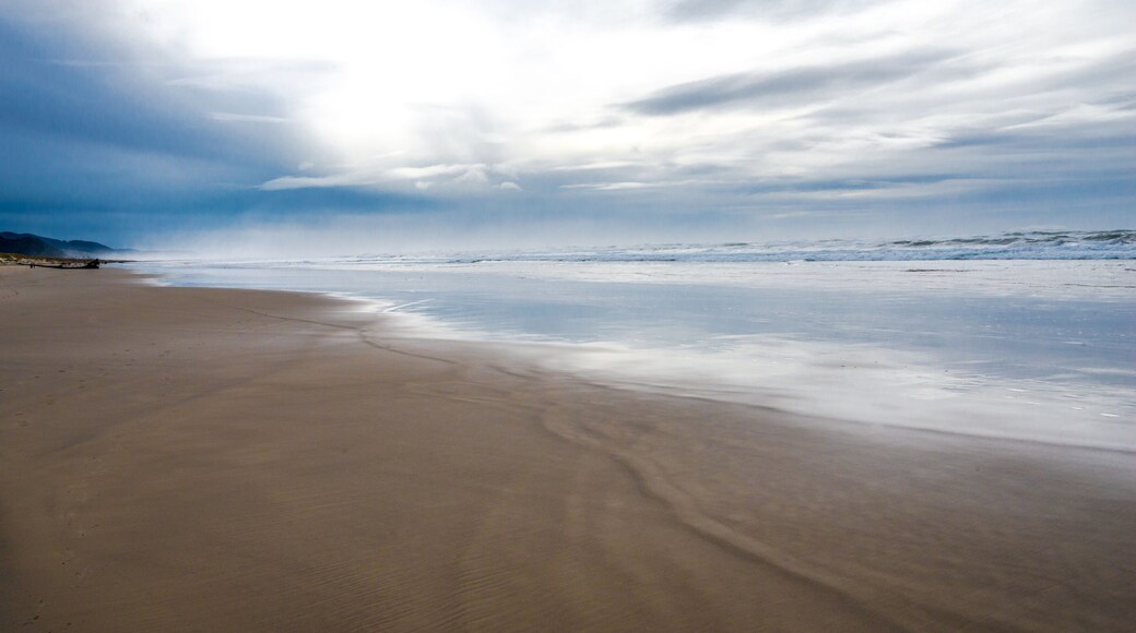 Parque estatal de la Bahía de Nehalem