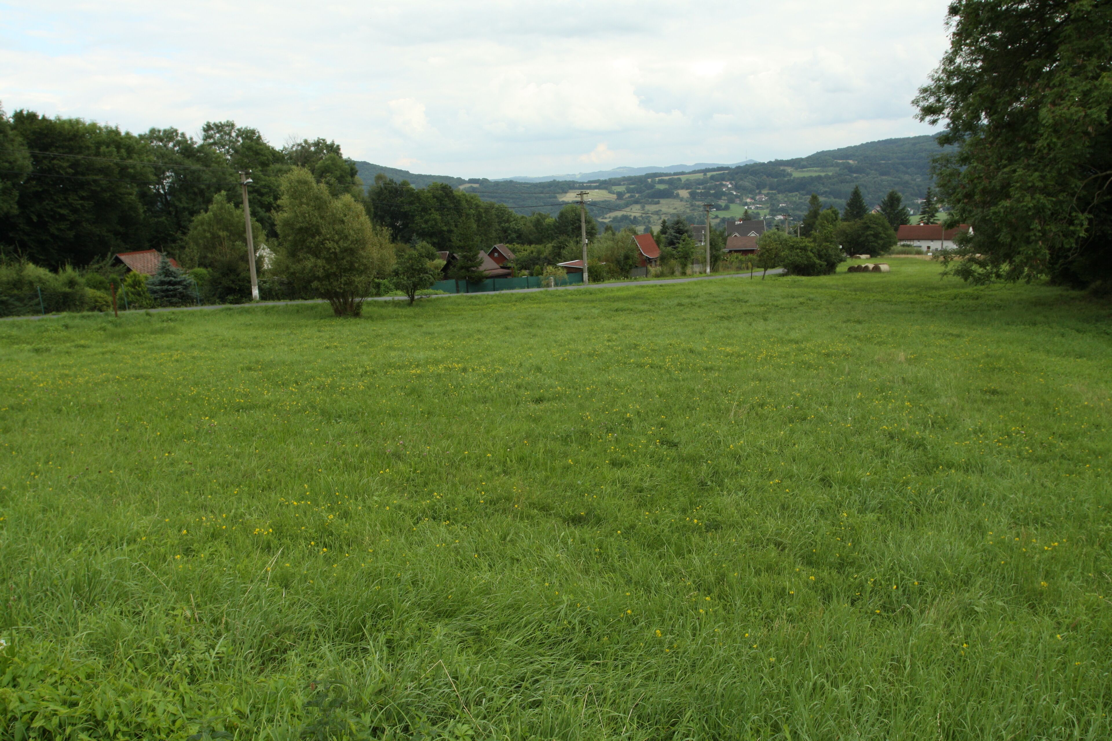 Natural monument Pod lesem in Jílové village, Děčín District, Czech Republic