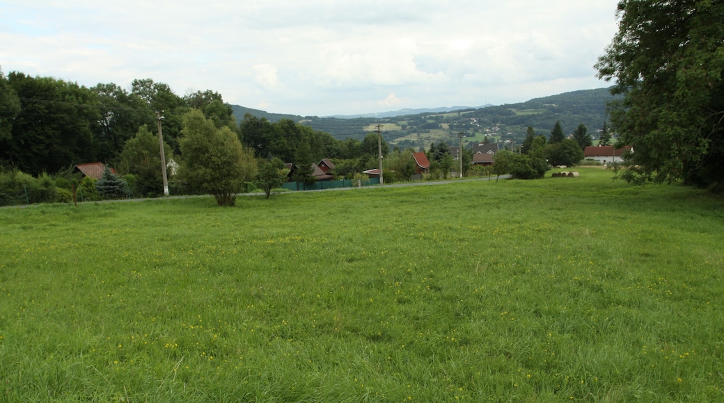 Natural monument Pod lesem in Jílové village, Děčín District, Czech Republic