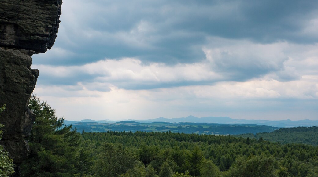 From the top it seems the forest is endless