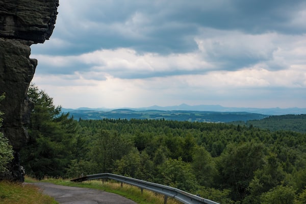 From the top it seems the forest is endless