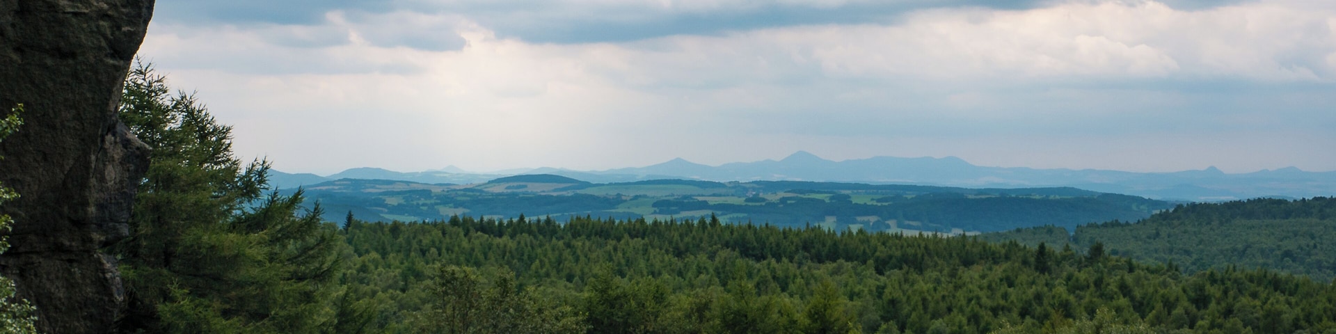 From the top it seems the forest is endless