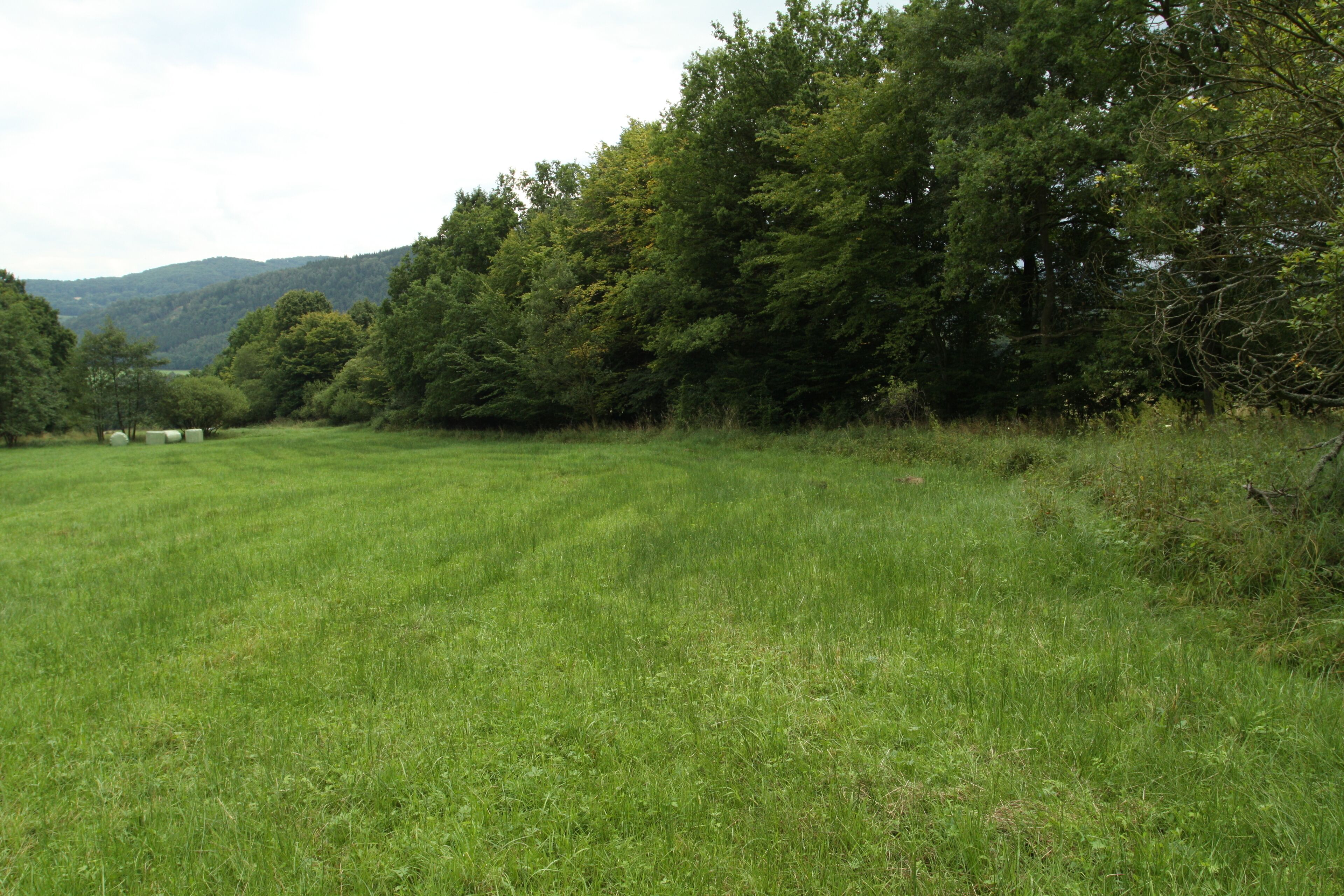 Natural monument Pod lesem in Jílové village, Děčín District, Czech Republic