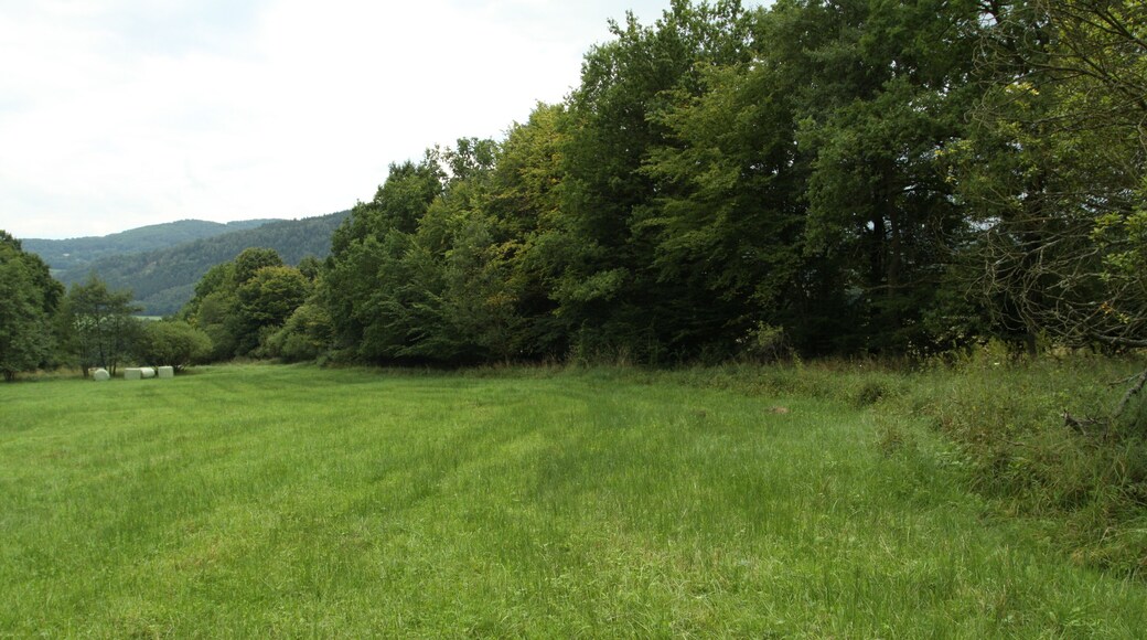 Natural monument Pod lesem in Jílové village, Děčín District, Czech Republic