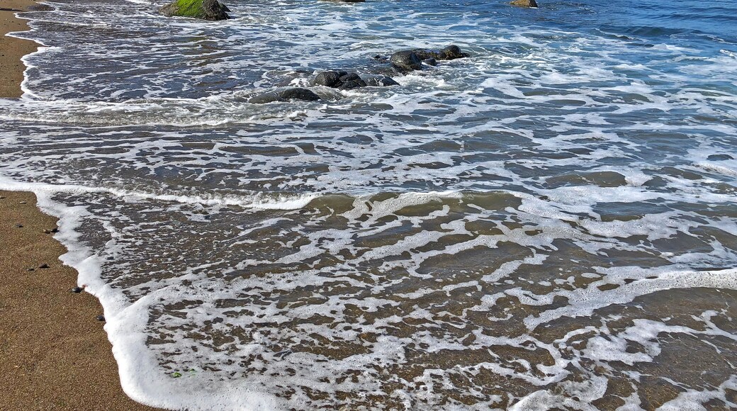 Fogarty Creek delstatlige rekreasjonsområde