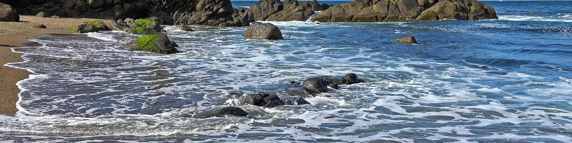 Foamy wave on beach at Fogarty Creek State Recreation Area in Oregon