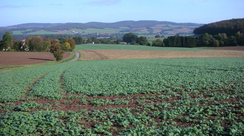 The upper Begavalley in the german district Lippe near by the hanseatic town Lemgo